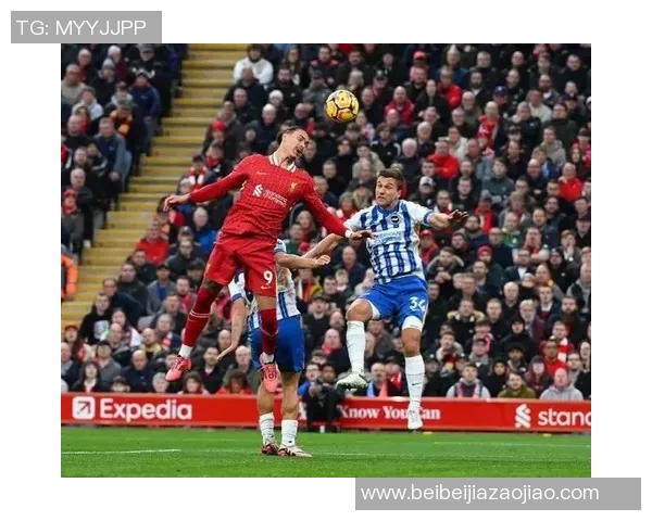 利物浦主场迎战布莱顿期待精彩对决双方球员状态备受关注
