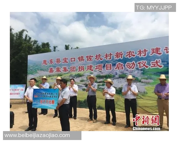 惠东篮球明星全景盘点及其成就与影响力分析