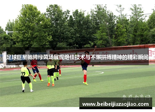 足球巨星驰骋绿茵场展现绝佳技术与不懈拼搏精神的精彩瞬间