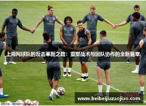 上海网球队的反击革新之路：重塑战术与团队协作的全新篇章