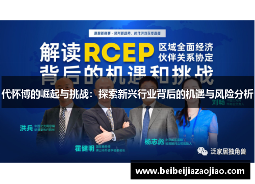 代怀博的崛起与挑战：探索新兴行业背后的机遇与风险分析