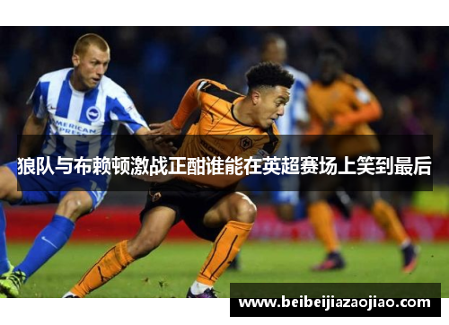 狼队与布赖顿激战正酣谁能在英超赛场上笑到最后