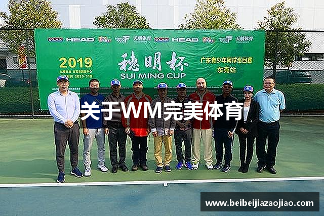 关于WM完美体育